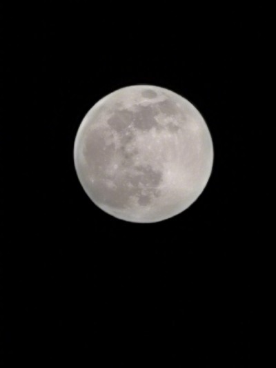 Des exemples de photos du Honor 30 Pro émergent, suggérant un mode lune possible