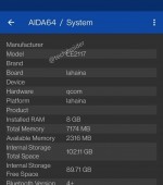Spécifications OnePlus 9 illustrées dans les captures d'écran AIDA64