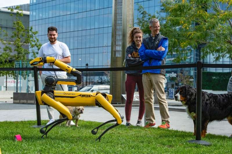 Les chiens robots de Boston Dynamics à Boston en 2021